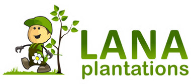Lana Plantacions 