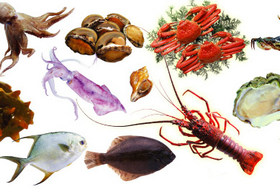 海鲜水产购物网站，进口海鲜商城，鱼、虾、蟹、贝，来一顿海鲜大餐