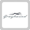 Greyhound 